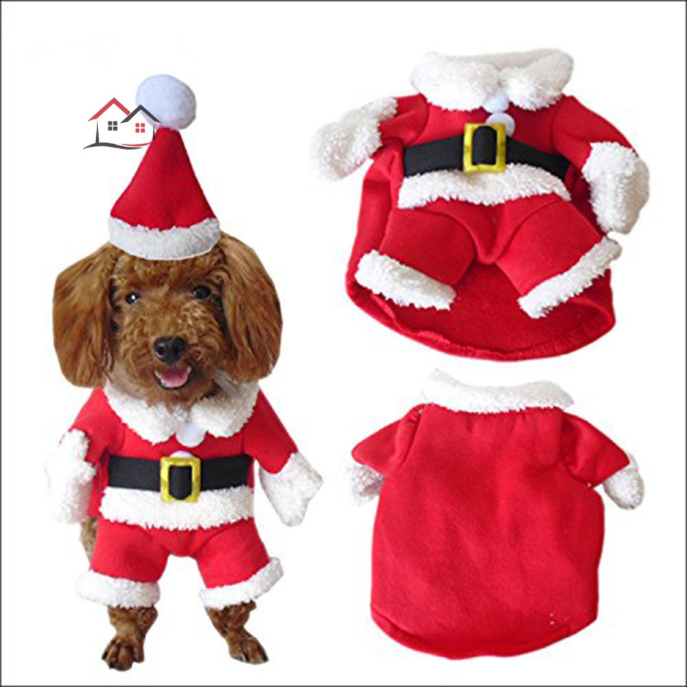 small dog elf costume