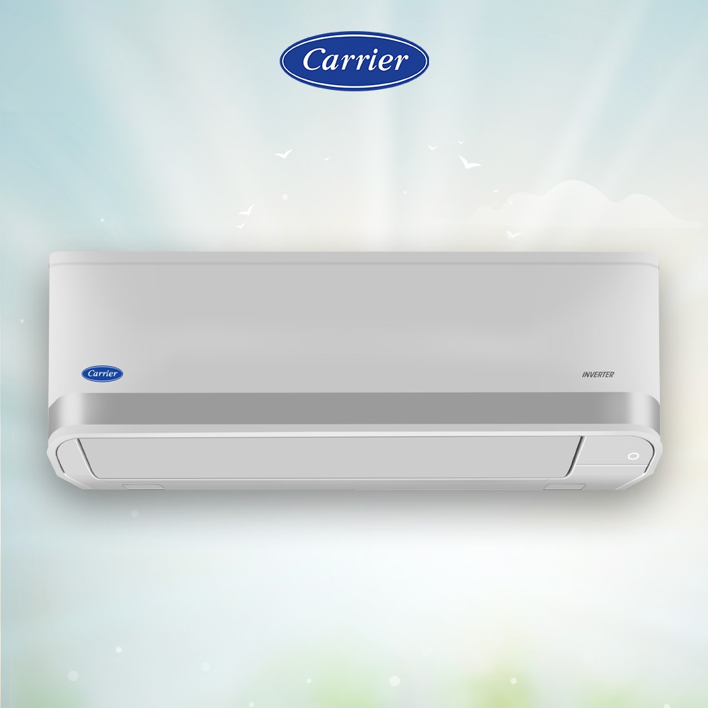 Carrier XPower Gold 3 Type High Wall Air Conditioner, 1.0 hp, FP