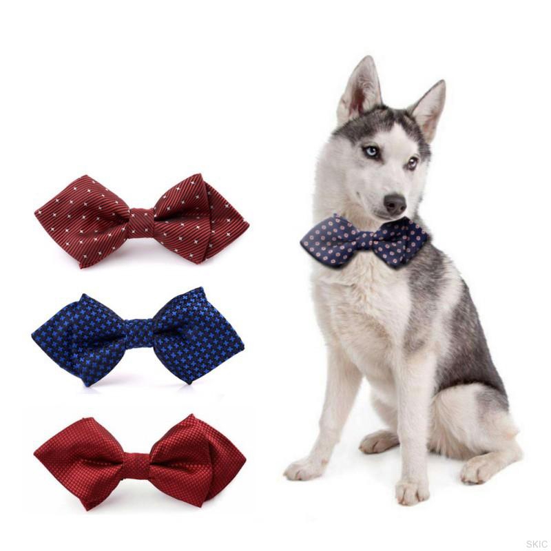 bow tie dog collar target