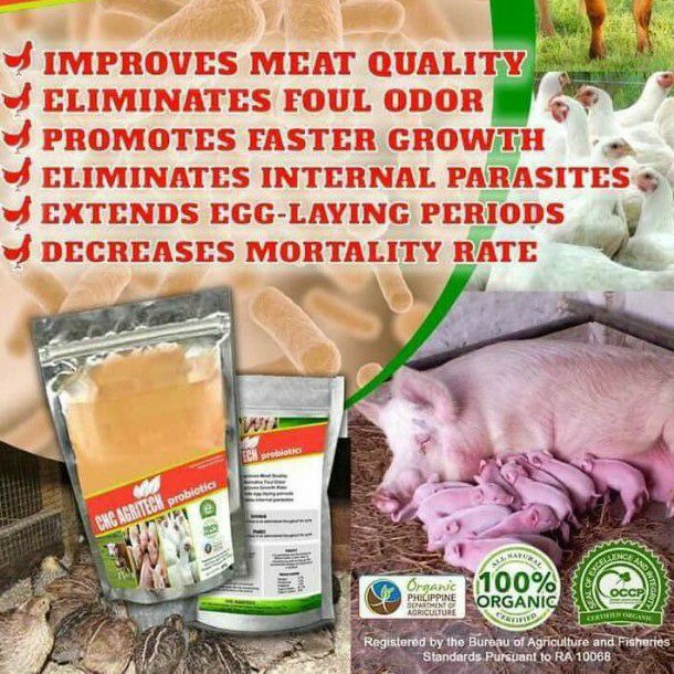 CHC AGRITECH PROBIOTICS FOR PETS, LIVESTOCK, POULTRY PIGGERY AND FARM ANIMALS 500g