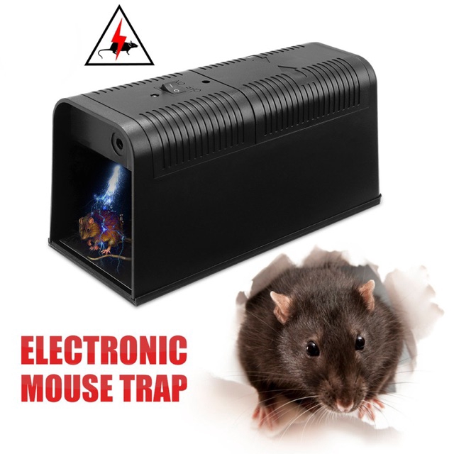 rat & mouse trap