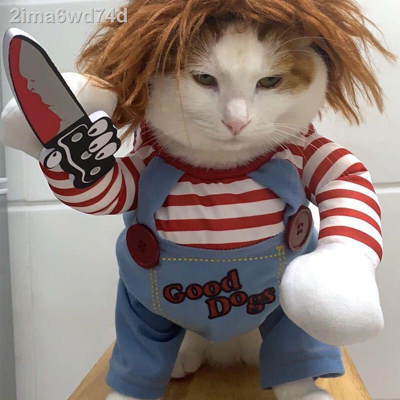 Dog clothes vibrato with the same paragraph with a knife, street fashion makeover, funny funny cat, #4