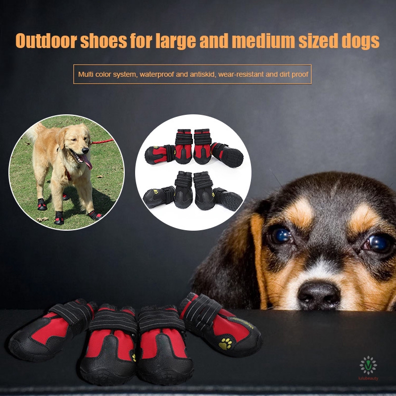 dog booties for large dogs