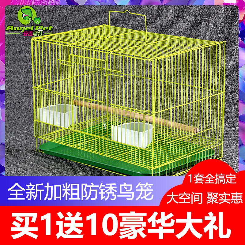 pets at home parrot cages