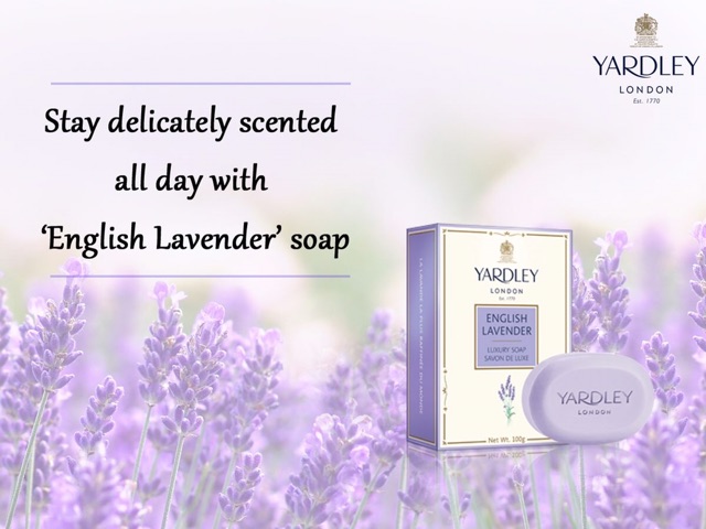 yardley lavender soap