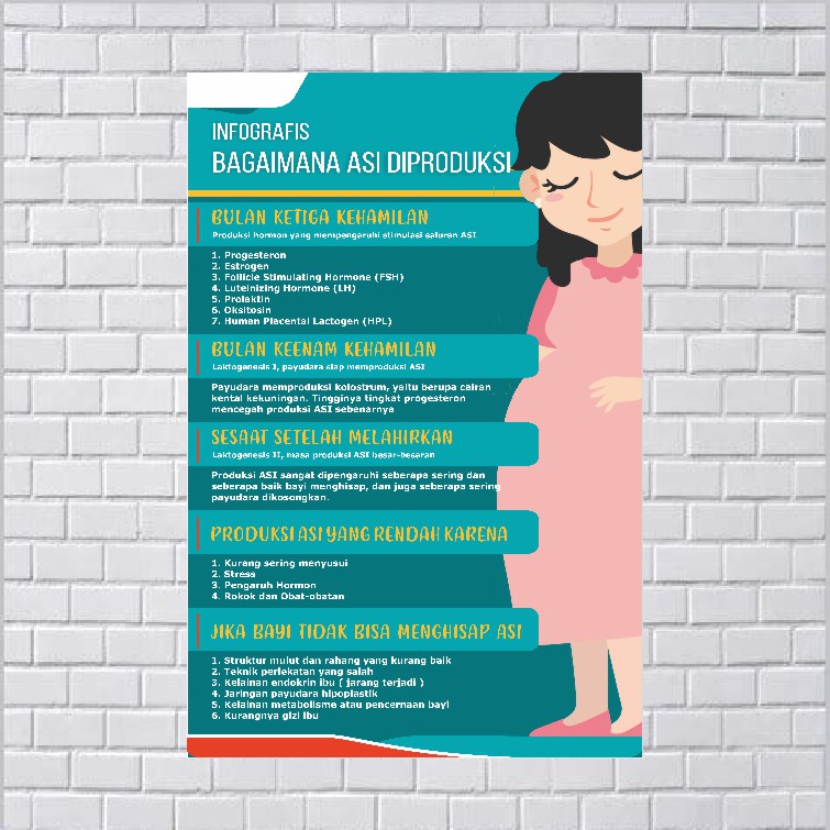 Breast Milk Production Obstetric Poster Shopee Philippines