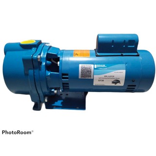 GOULDS SELF PRIMING CENTRIFUGAL PUMP GT-30 230V 1PHASE (US) | Shopee ...