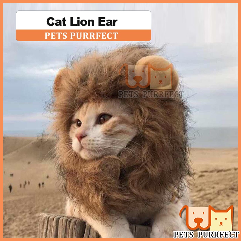 Pets Purrfect Cat Lion Tiger Ears Hat Pet Fashion Accessories Comel Kucing Topi Costumes 猫咪老虎狮子头套