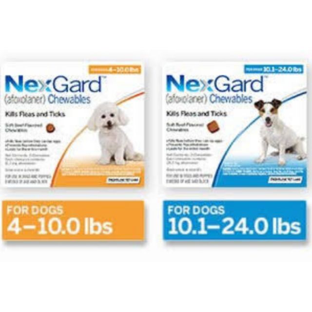 nexgard chewables for dogs
