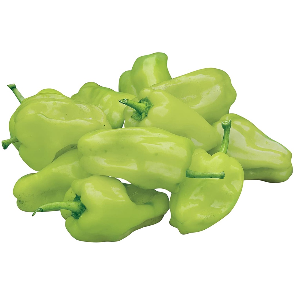 Burpee Pepperoncini Greek Hot Pepper 20 Seeds vegetable seeds Shopee
