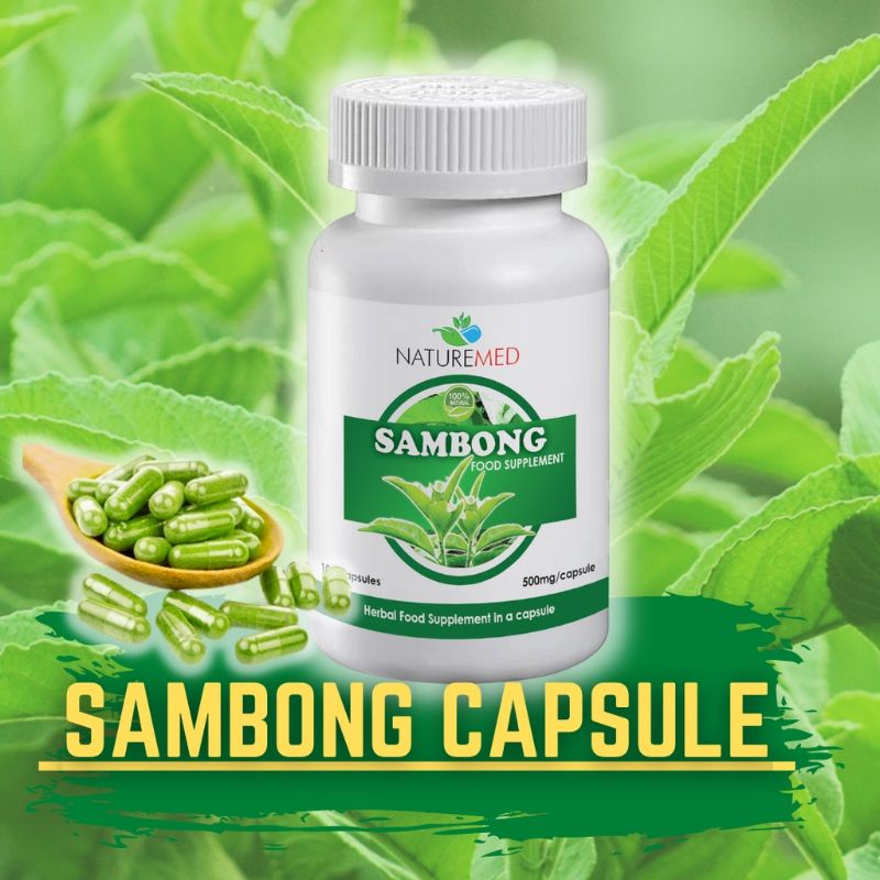 How To Take Sambong Capsules? – Blumea balsamifera – WXCQRB