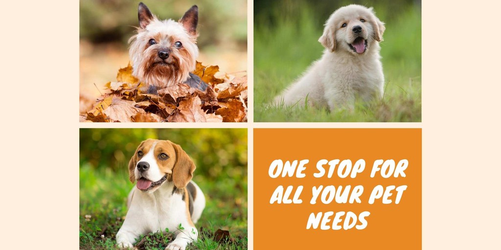 Pet Supplies Express, Online Shop Shopee Philippines