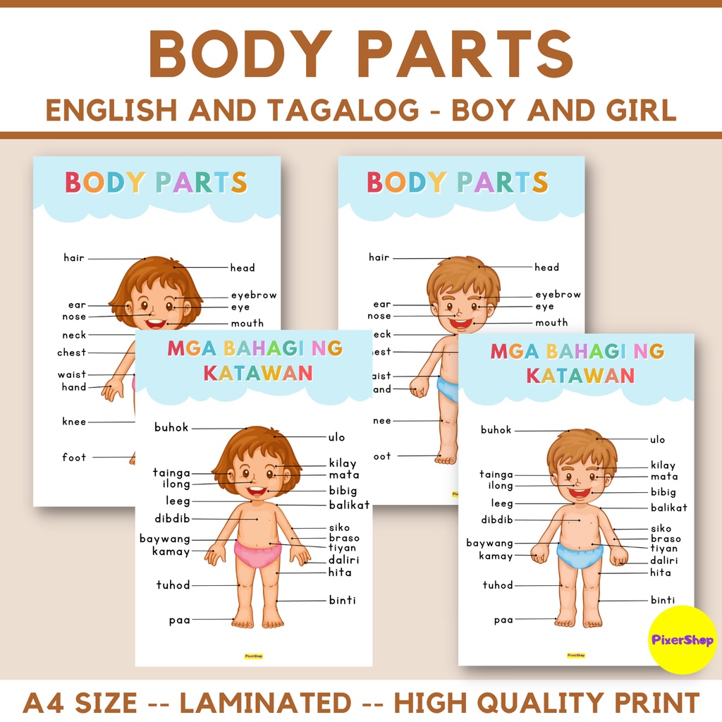 BODY PARTS LAMINATED EDUCATIONAL CHART TAGALOG A4 SIZE THICK Shopee