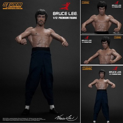 bruce lee full picture