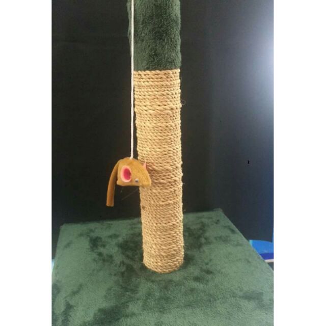 cat scratcher shopee