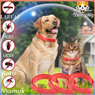 Anti Kutu Cat Necklace - Anti Lice Medicine Necklace Cat Rabbit Dog Weasel Flea Tick Kitten