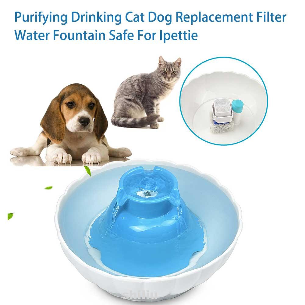 ipettie water fountain