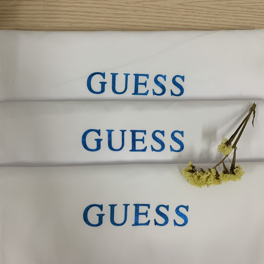 guess dust bag