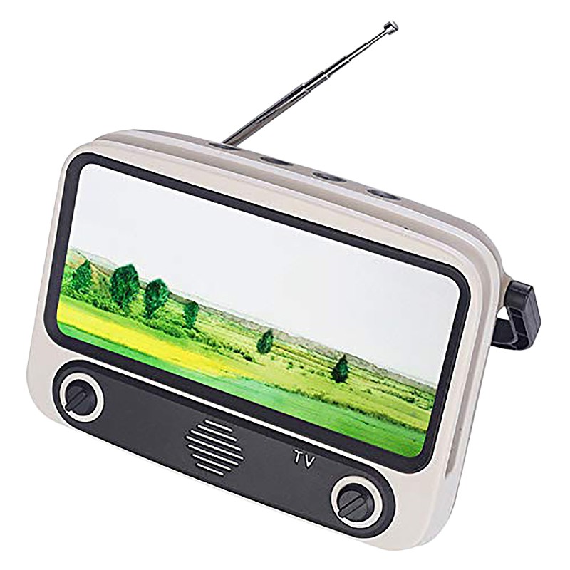 portable tv speaker