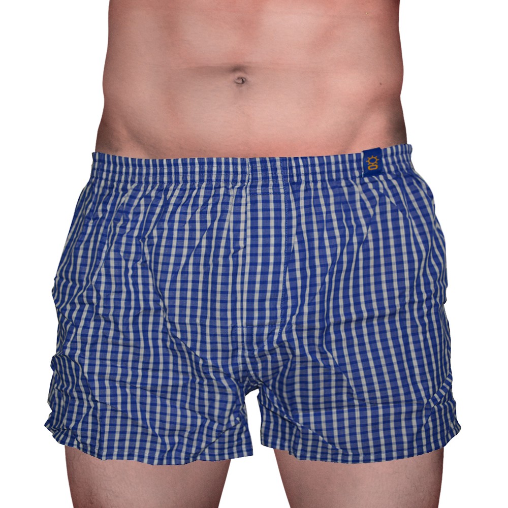 Sunjoy Checkered Boxer Shorts (Aqua/L.Blue) | Shopee Philippines