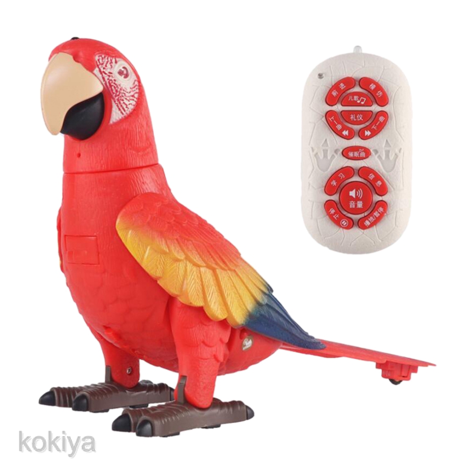 remote control bird toy