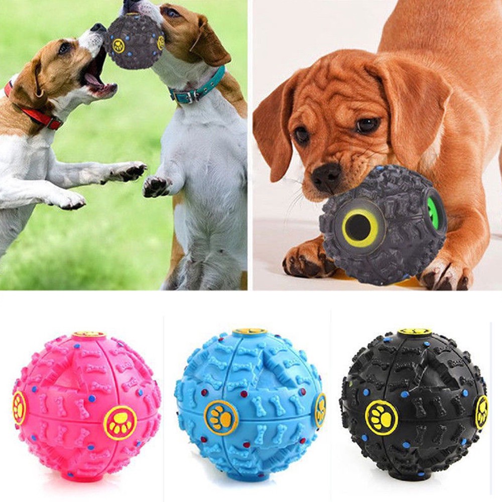 ball ready for dogs