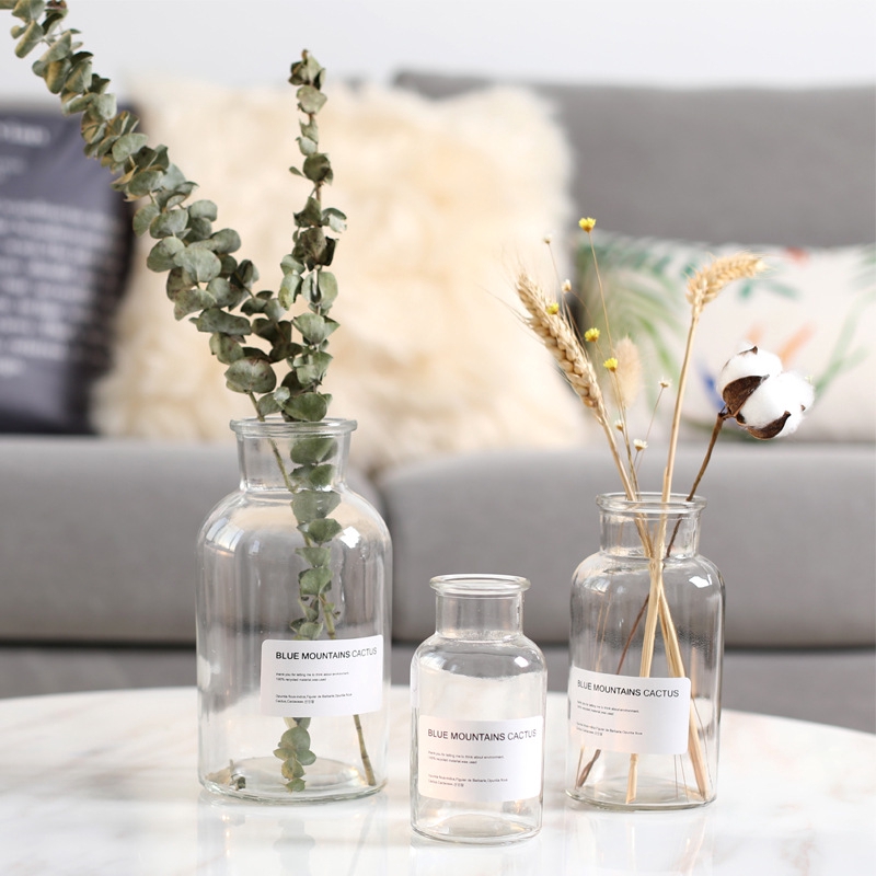 Glass Flower Vase Hydroponic Plant Nordic Bottle Transparent Living Room Decor 