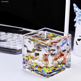 Hot Sale✙☞Square glass transparent thickened betta fish tank goldfish tank creative small hydroponic