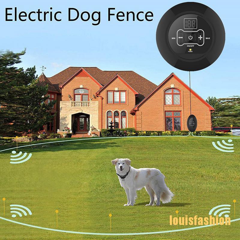 electric fence for dogs