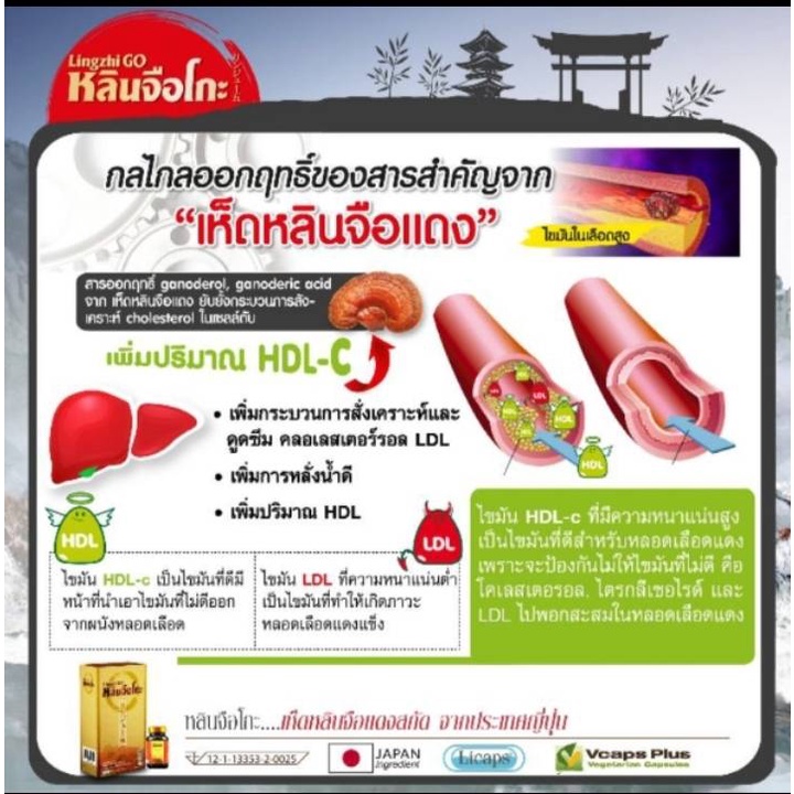 Lingzhiko 30 Capsules A Dietary Supplement From Red Reishi Lucidum Extract Mixed With Vitamins Impor
