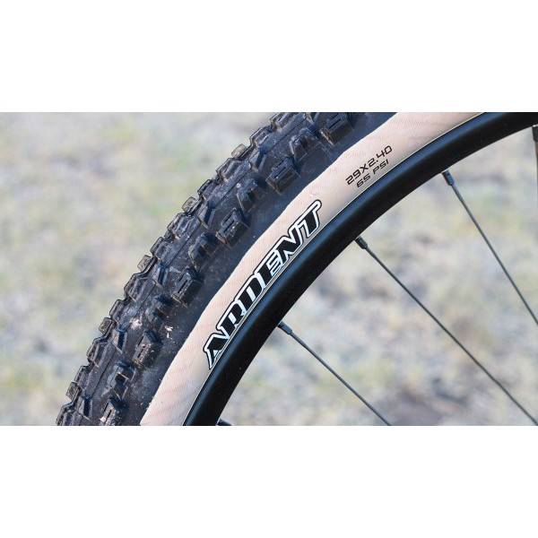 maxxis ardent 29x2 25 skinwall