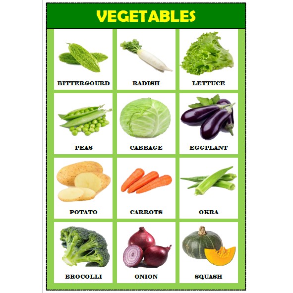 Vegetables Laminated Educational Chart A4 Mga Gulay W vrogue.co