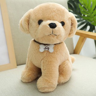 large teddy for dogs