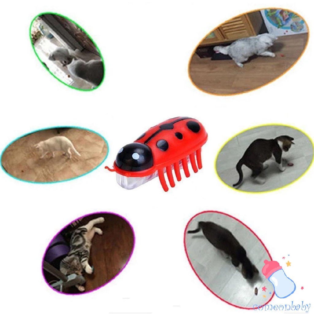 robot bug toy