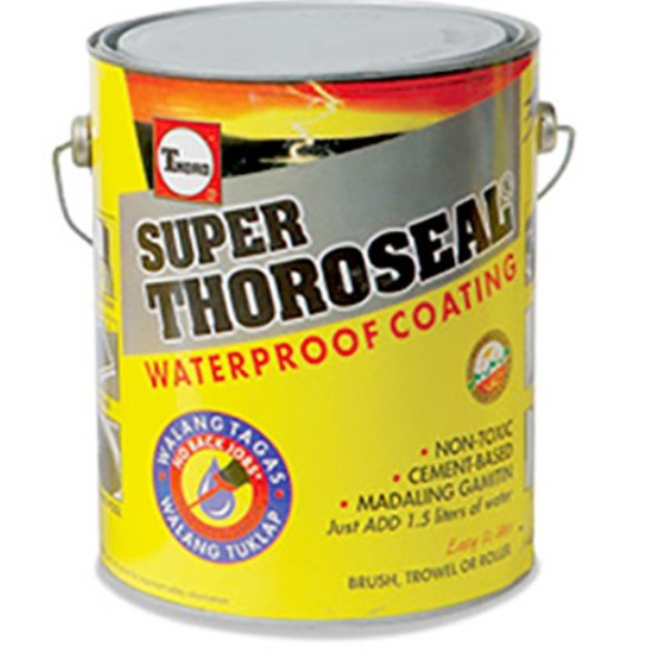 Super Thoroseal Gray (1 gallon) for Cement based Water