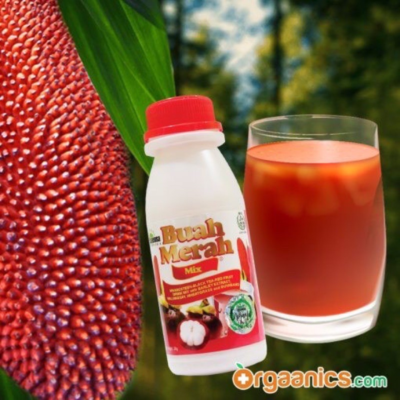 Authentic!! Buah Merah Mix Essensa Natural Powder Juice Drink Shopee