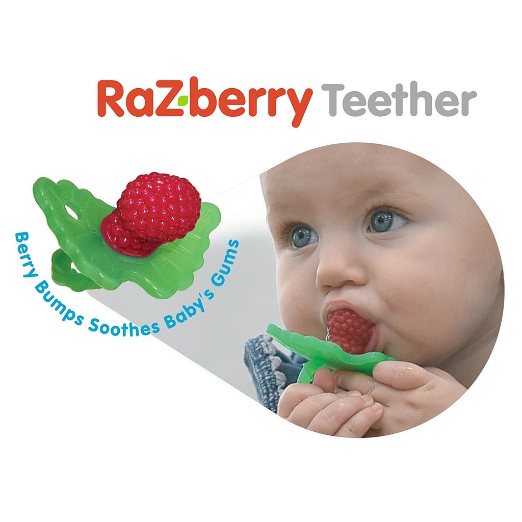 baby razberry teether