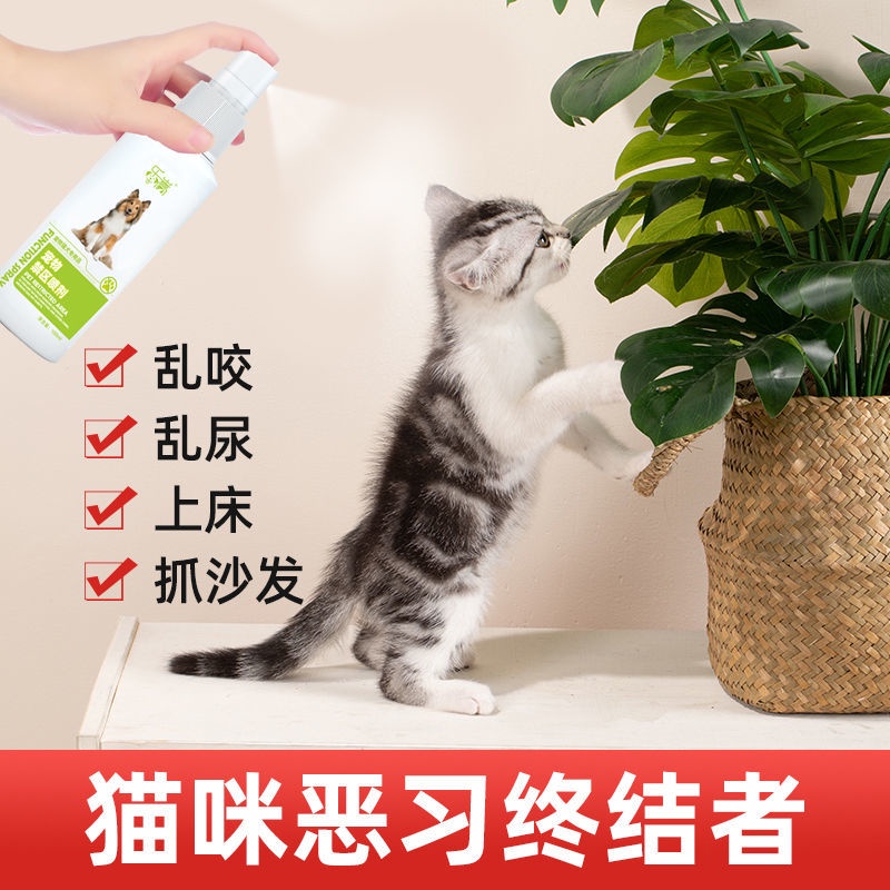 The dog urine sprays chaos to pull t Anti-dog Spray Dogs Randomly Prevent From Peeing Repellent Cat Cats Going Bed Long-Lasting Forbidden Area Pet Supplies 22 #8