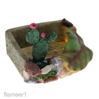 Reptile Water Dish Food Tray Bowl Gecko  Tortoise Plate Feeding Bowl