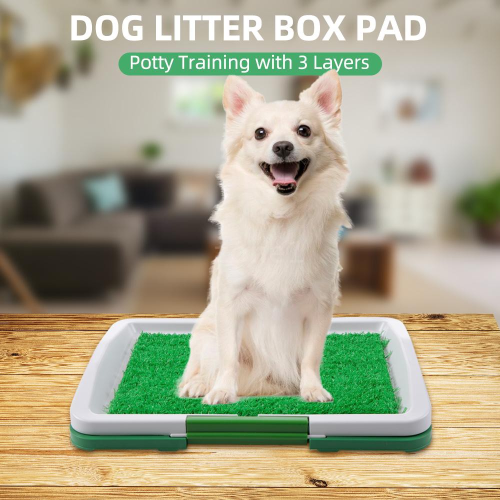 dog training litter box
