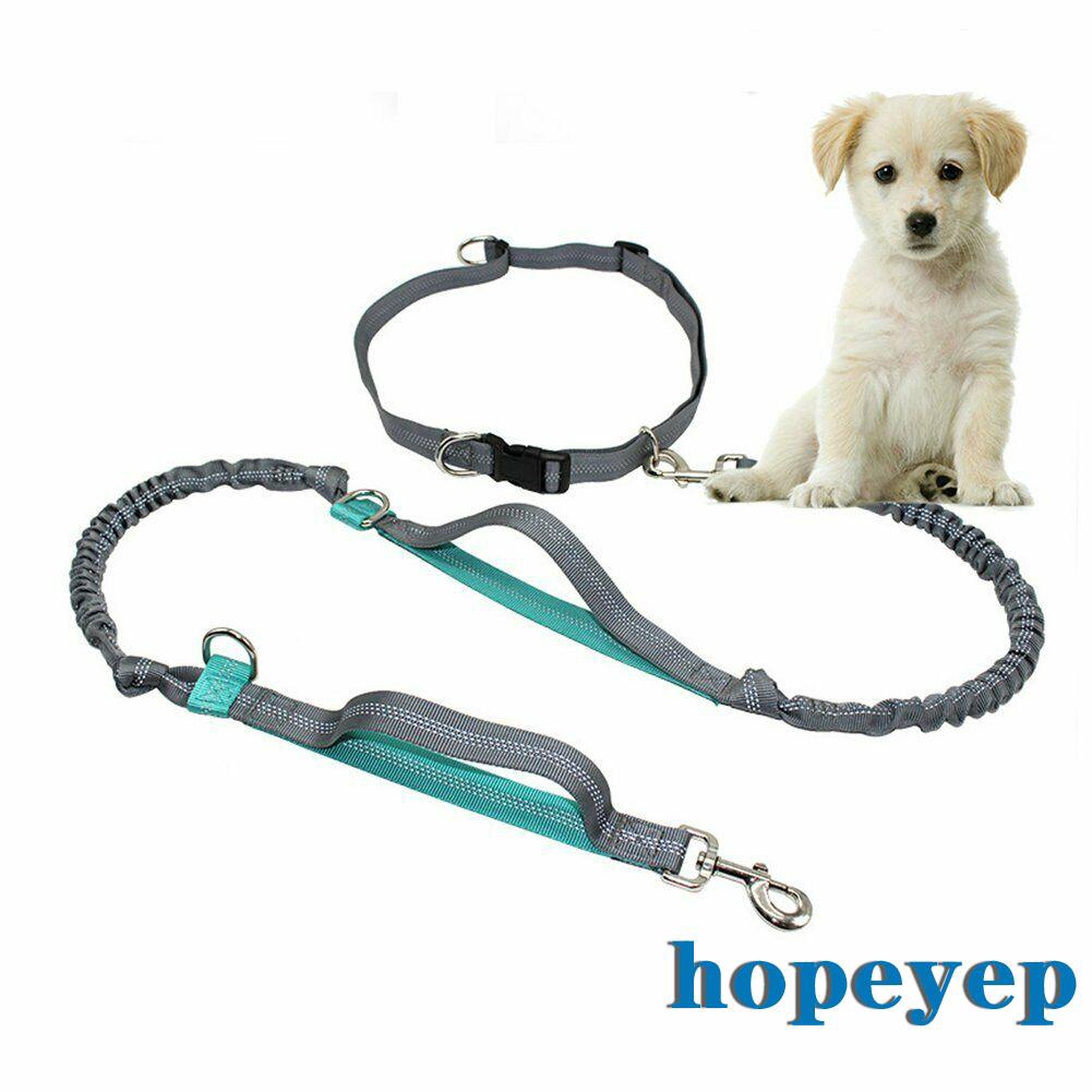 dog leash that attaches to waist