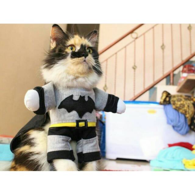 Batman Costume Cat / Dog size S M L XL | Shopee Philippines