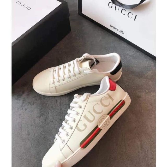 ace sneaker with guccy print