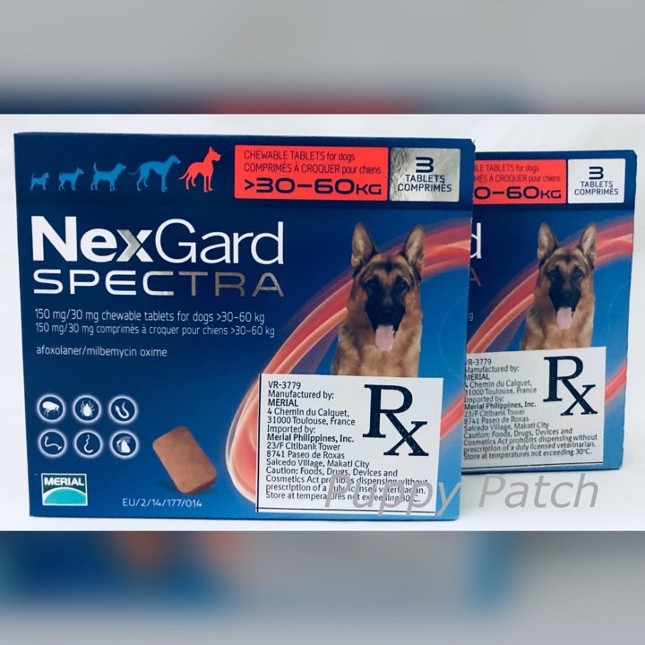 nexgard spectra 60kg