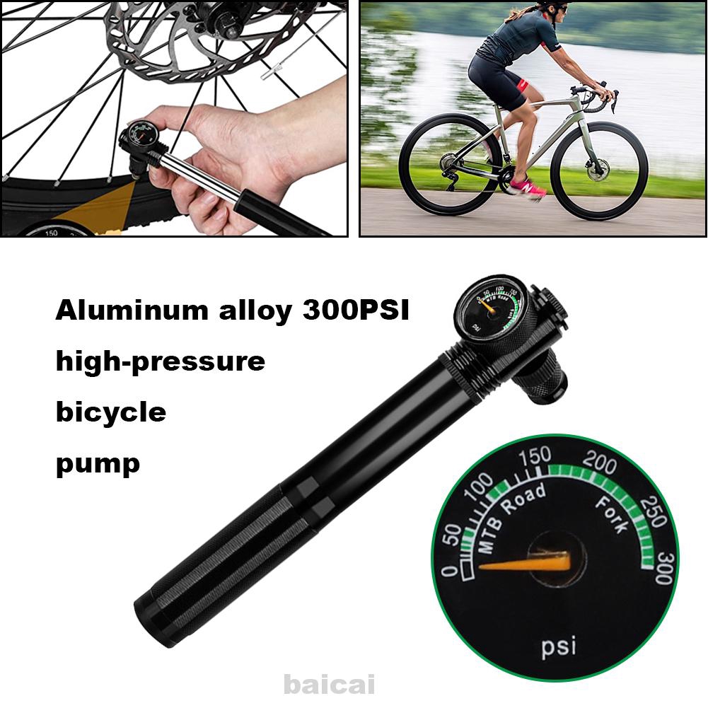 telescopic bike pump