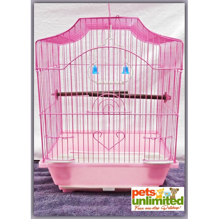 bird cage pet shop