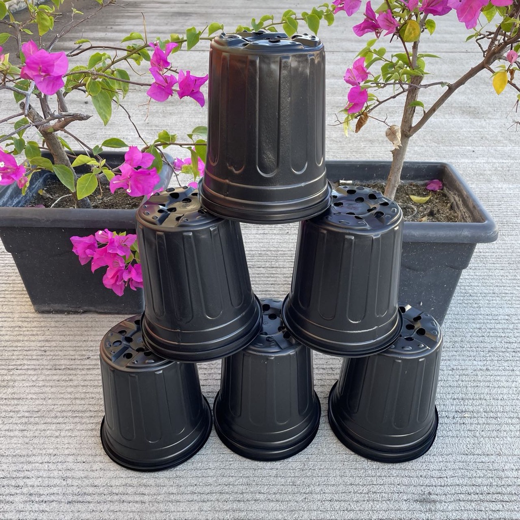 M&A PHC 6pcs (1629cm) Black PVC Nursery pots/Long Height PVC Pots
