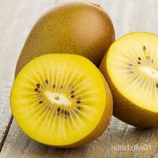 New Store Offers Philippines Ready Stock 100pcs Kiwi Fruit Seeds - Green Kiwi Seeds - Yellow Golden  #9