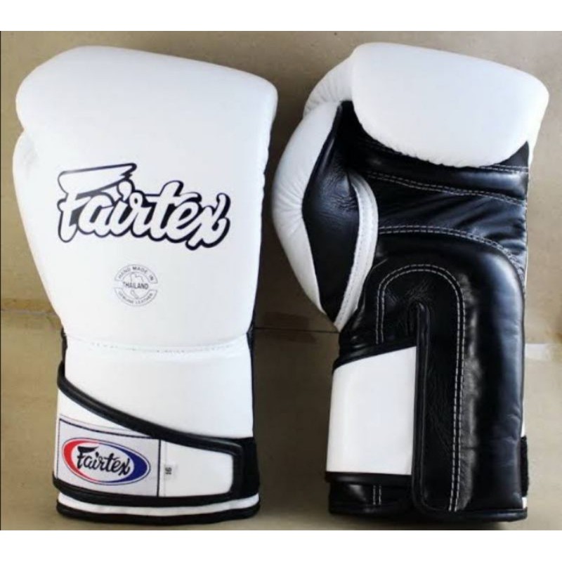 Fairtex BGV6 Boxing Gloves 12oz 14oz | Shopee Philippines