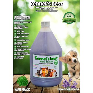 Madre de cacao Dog shampoo w/conditioner(Lavander scent)